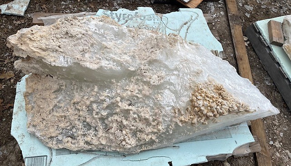 lg repet1.jpg