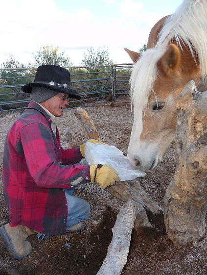 Horses LOVE Selenite